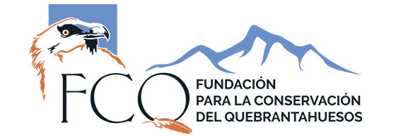 Logo-Fundación-para-la-Conservación-del-Quebrantahuesos
